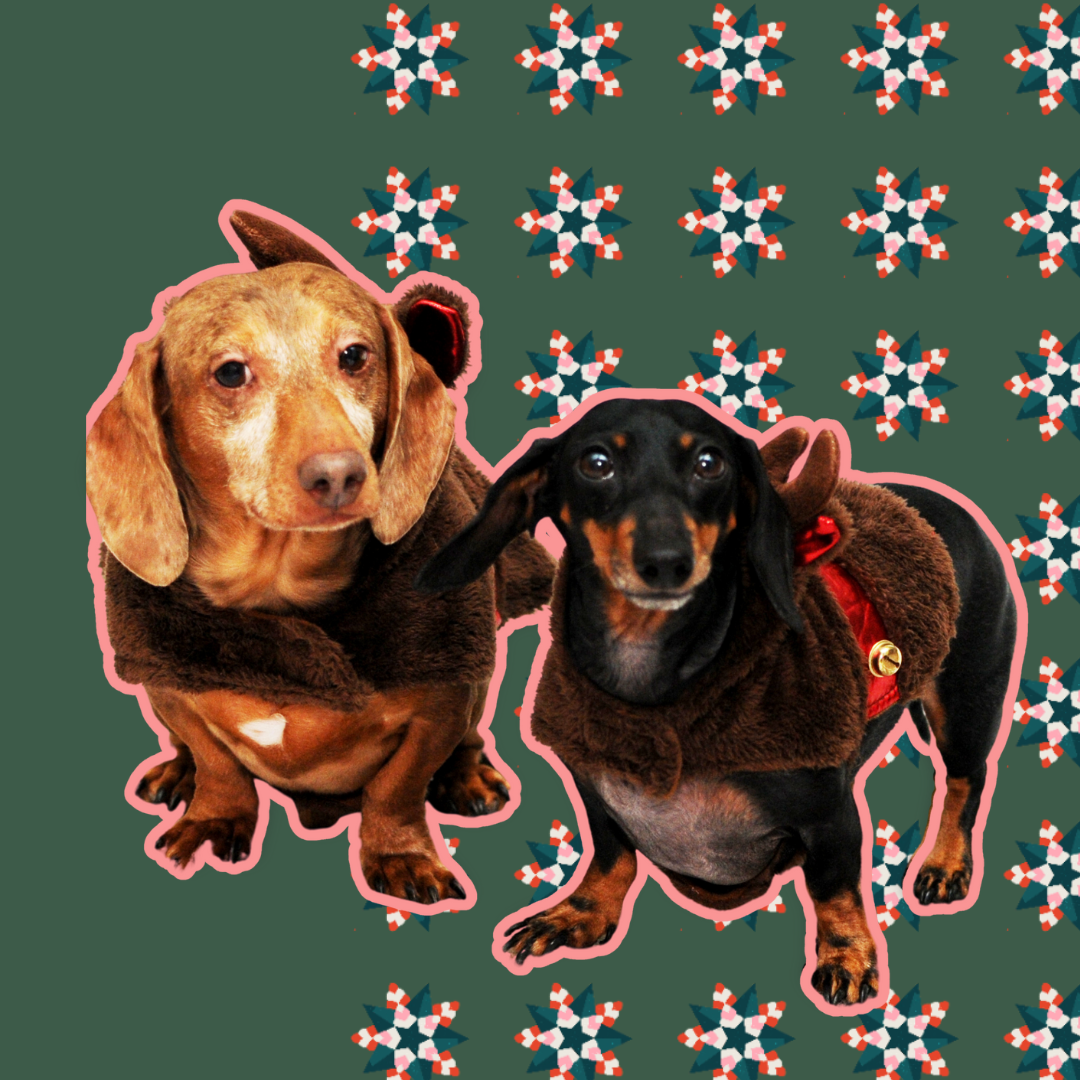 Unique Christmas Themes for Family Memories
